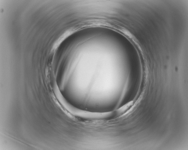 X0000052951385200507221201