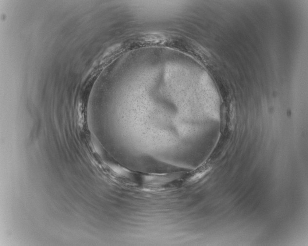 X0000052951394200507221200