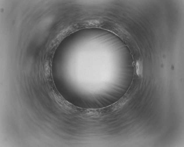 X0000052951395200507221200