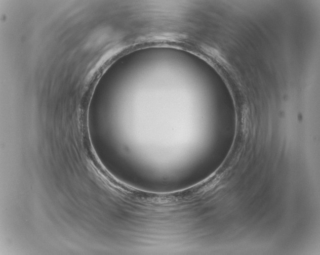 X0000052951404200507221200