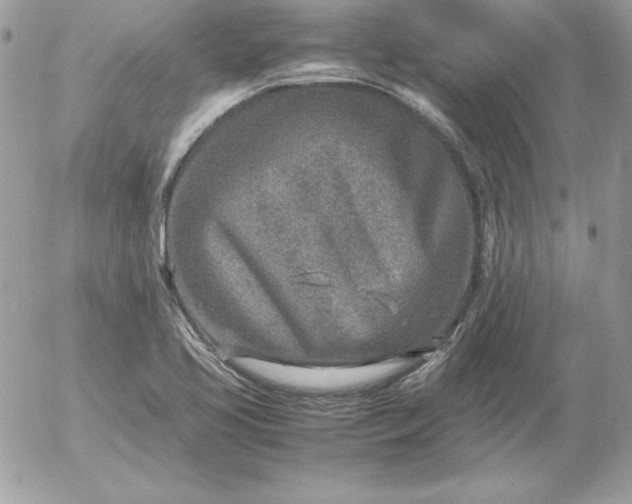 X0000052951413200507221200