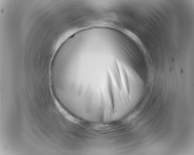 X0000052951439200507221201