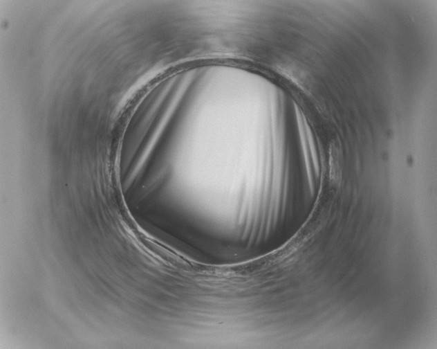 X0000052951452200507221200