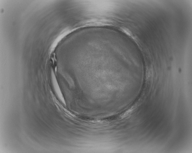 X0000052951459200507221200