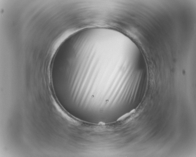 X0000052951479200507221159