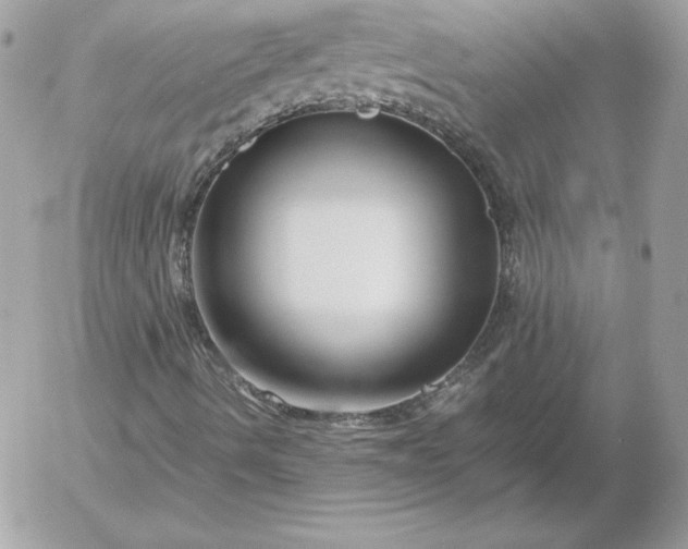 X0000052951490200507221158