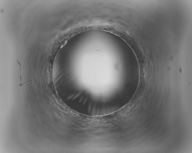 X0000052951493200507221158