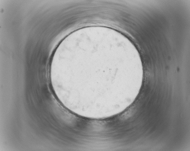 X0000052951514200507221159
