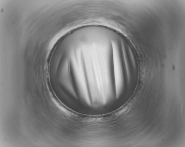 X0000052951519200507221159