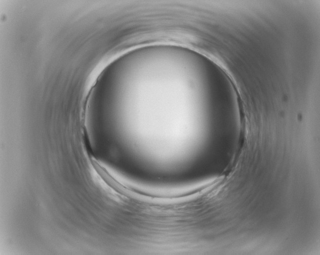 X0000052951532200507221159