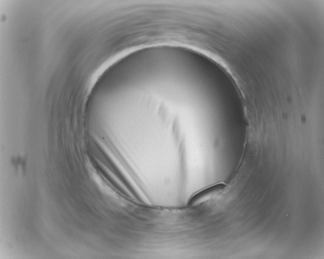 X0000052951534200507221159