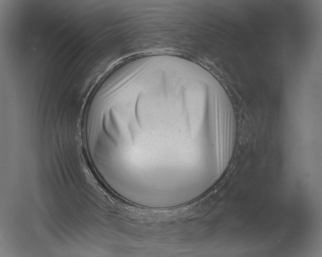 X0000052950002200507300057