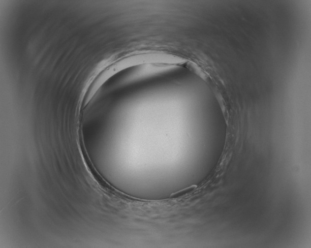 X0000052950003200507300057