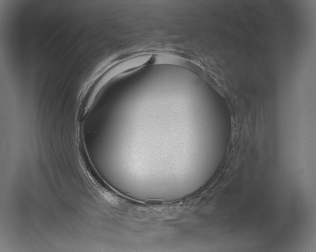 X0000052950005200507300057