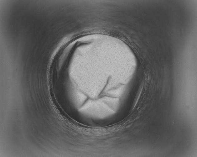 X0000052950006200507300057