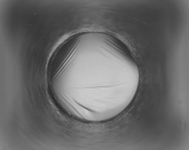 X0000052950008200507300057