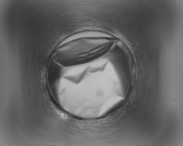 X0000052950009200507300057