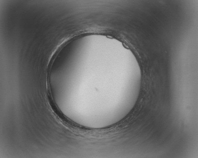X0000052950011200507300057