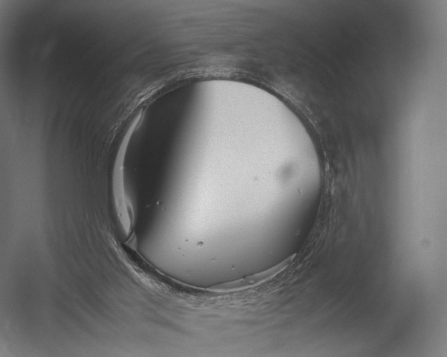 X0000052950013200507300057
