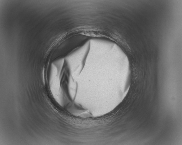 X0000052950014200507300057
