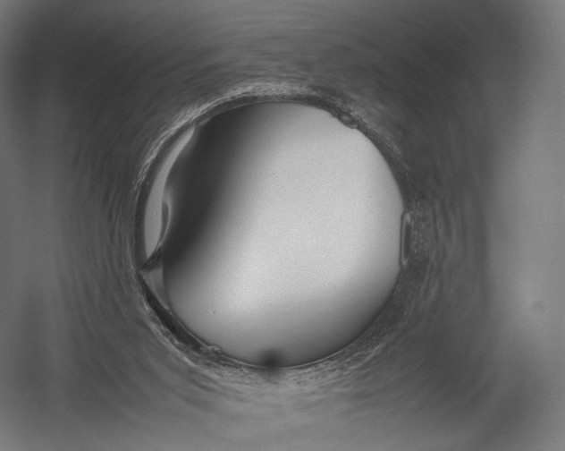 X0000052950015200507300057