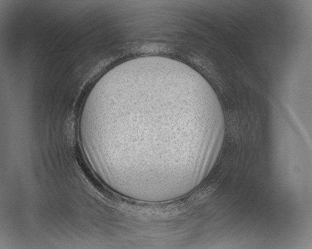 X0000052950016200507300057