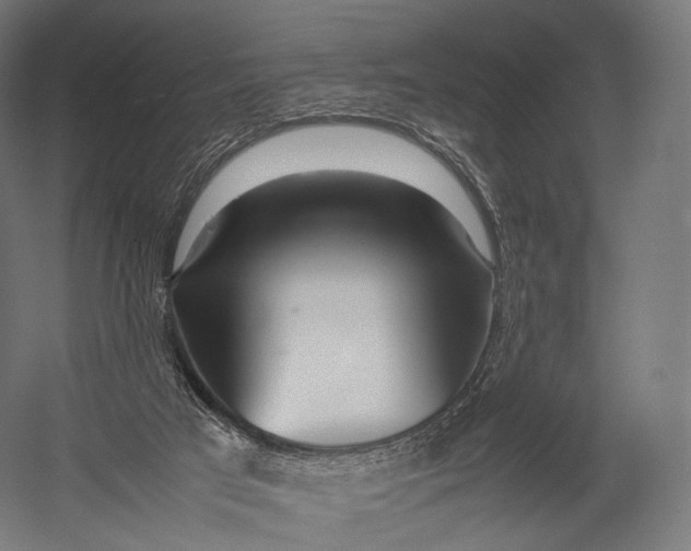 X0000052950017200507300057