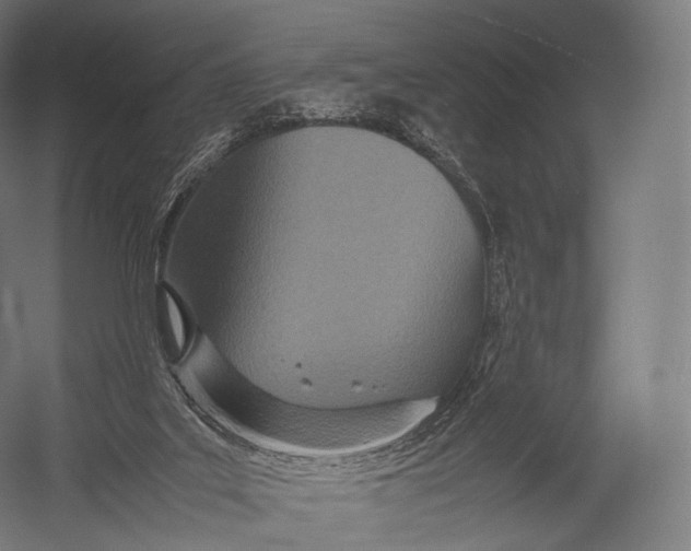 X0000052950019200507300057