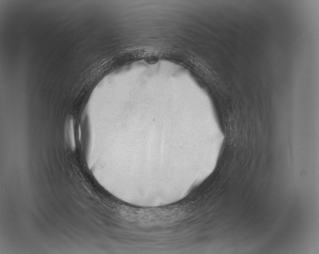 X0000052950022200507300057