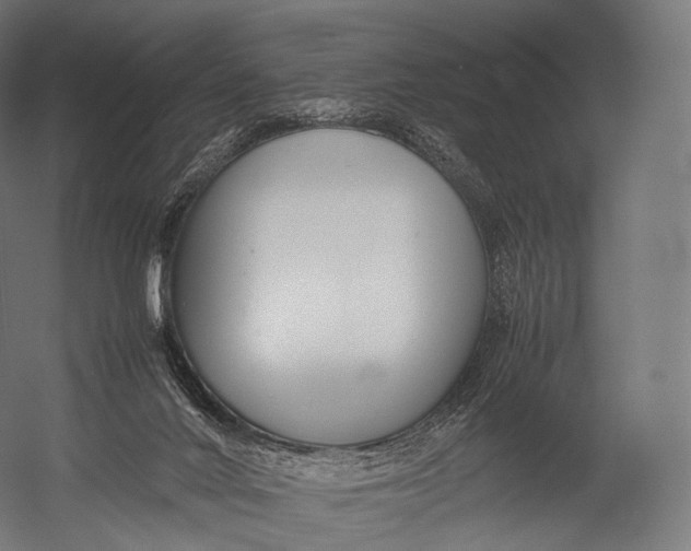 X0000052950024200507300057