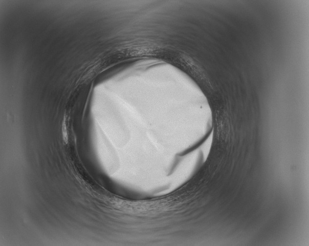 X0000052950026200507300057