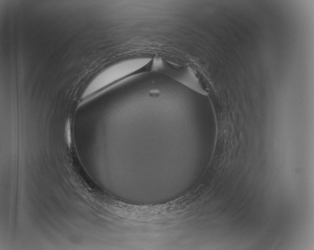 X0000052950027200507300057
