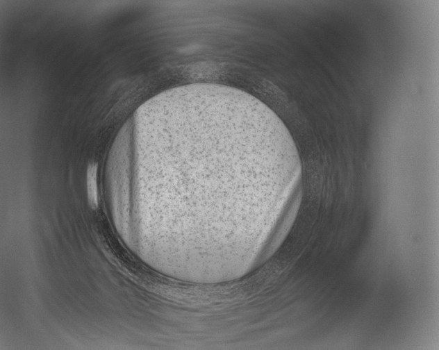 X0000052950028200507300057