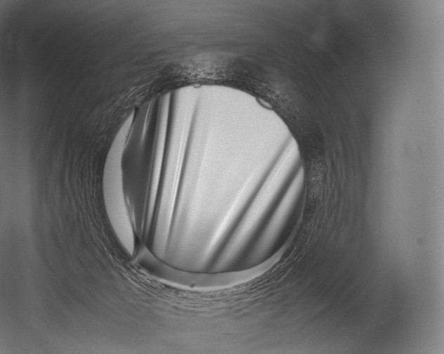 X0000052950029200507300057