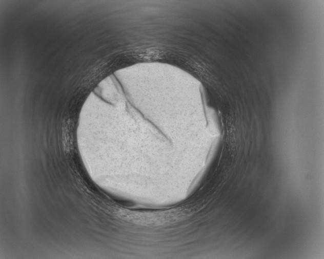 X0000052950030200507300057