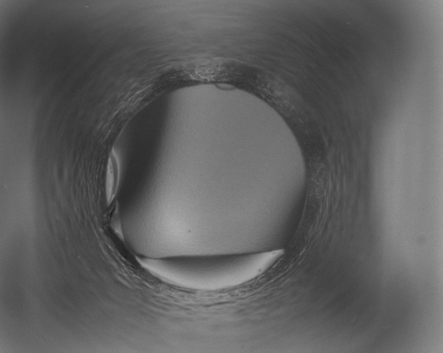 X0000052950031200507300057