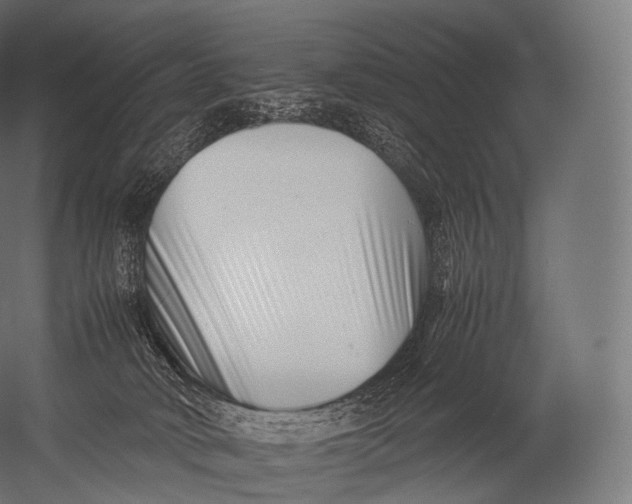 X0000052950034200507300057
