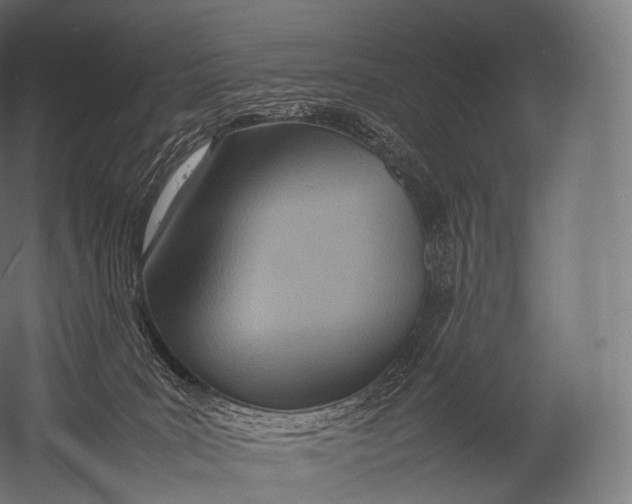 X0000052950035200507300057