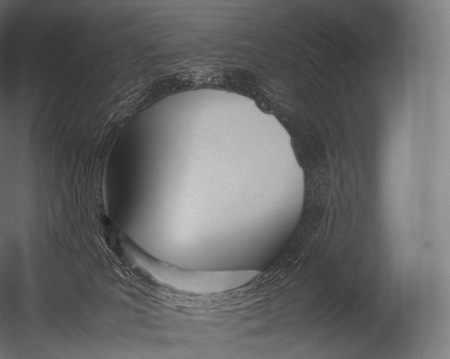 X0000052950039200507300056