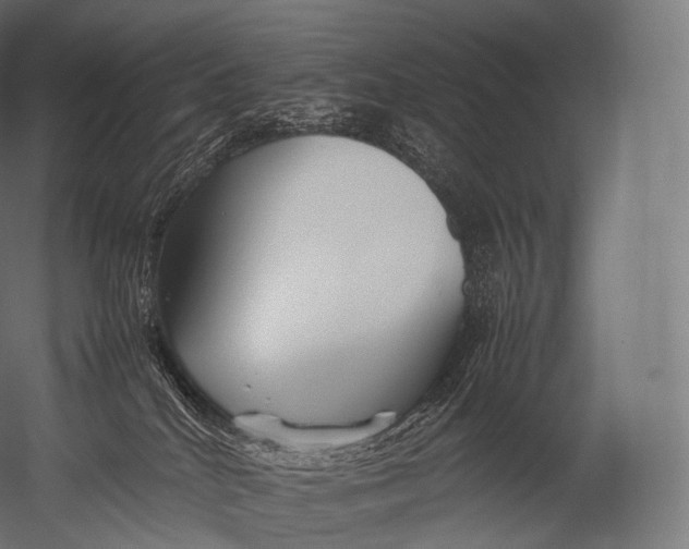 X0000052950040200507300056