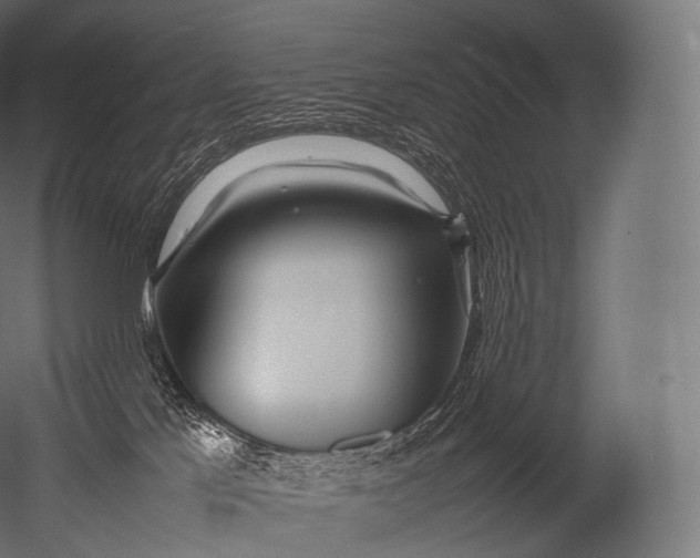 X0000052950041200507300056