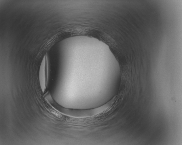 X0000052950045200507300056