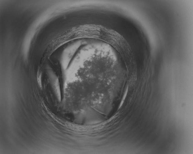 X0000052950047200507300056