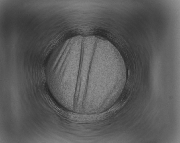 X0000052950048200507300056