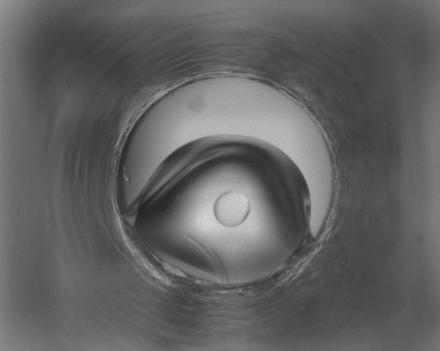 X0000052950049200507300056