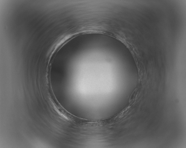 X0000052950050200507300056