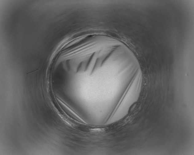 X0000052950053200507300056