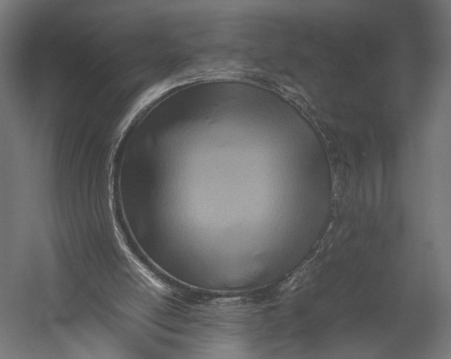 X0000052950054200507300056