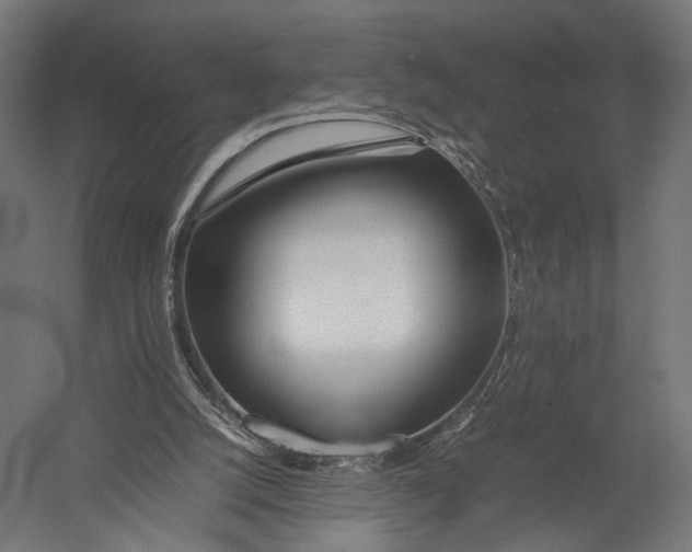 X0000052950056200507300056