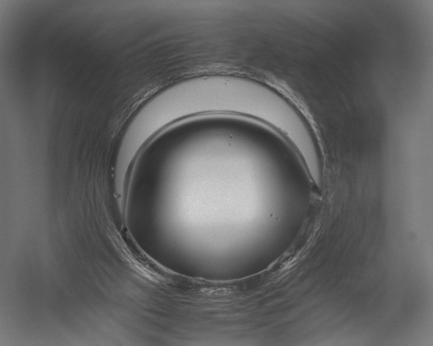 X0000052950057200507300056